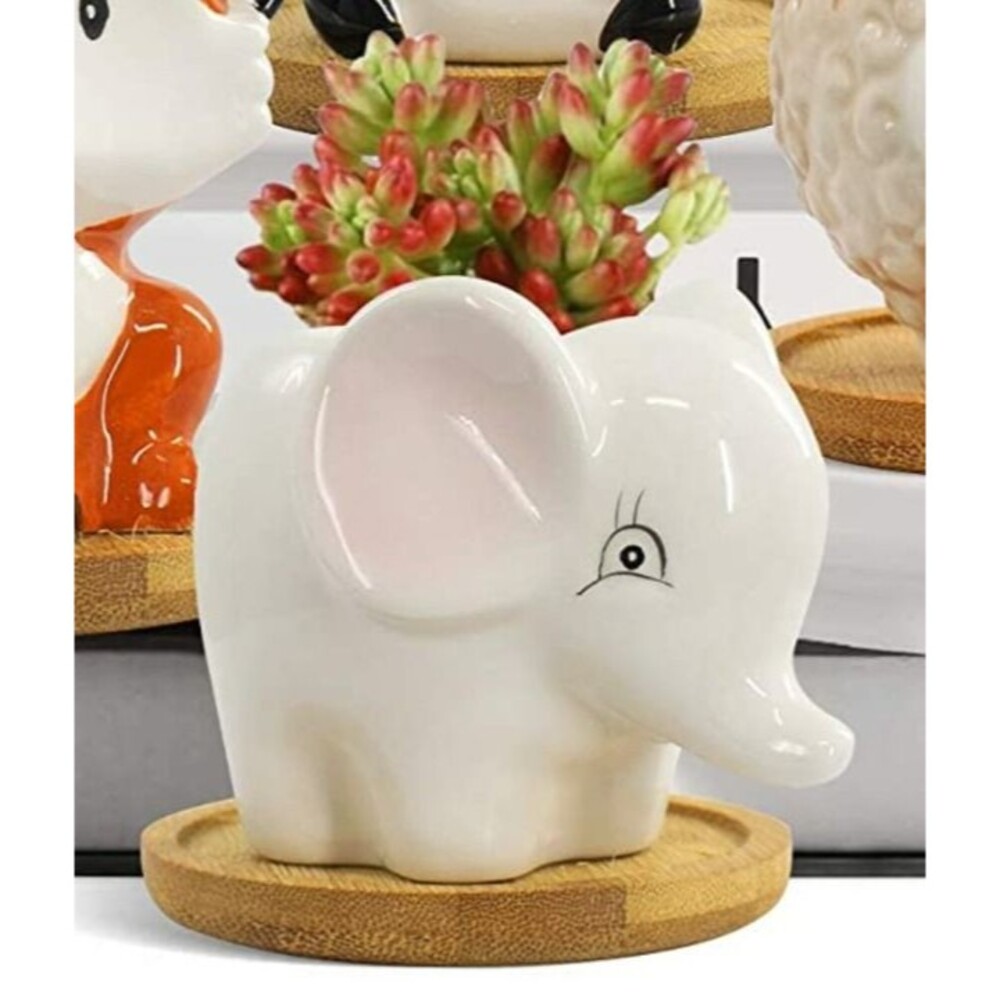 Ceramic Succulent Planter Elephant